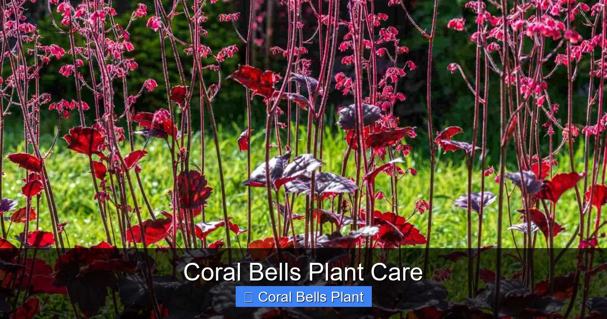 Coral Bells Plant Care