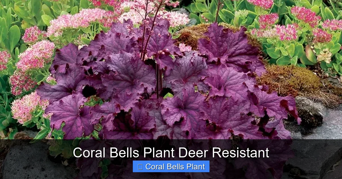 Coral Bells Plant Deer Resistant