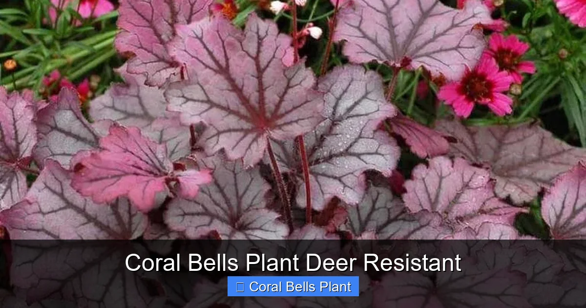 Coral Bells Plant Deer Resistant