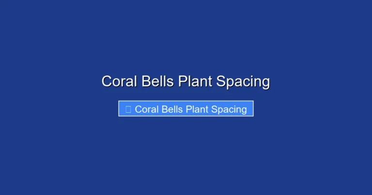 Coral Bells Plant Spacing