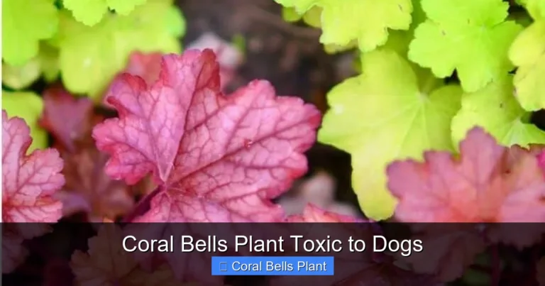 Coral Bells Plant Toxic to Dogs