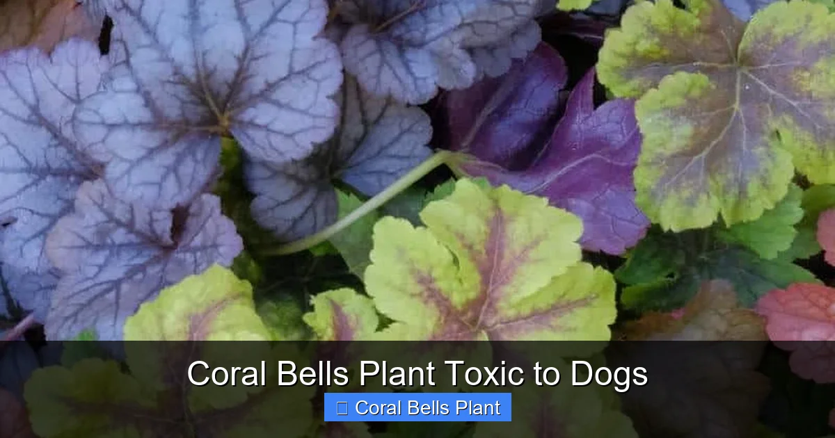 Coral Bells Plant Toxic to Dogs