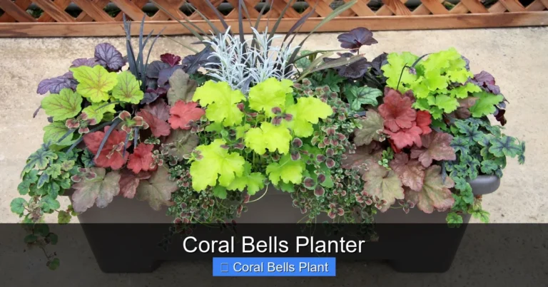 Coral Bells Planter