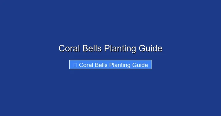 Coral Bells Planting Guide