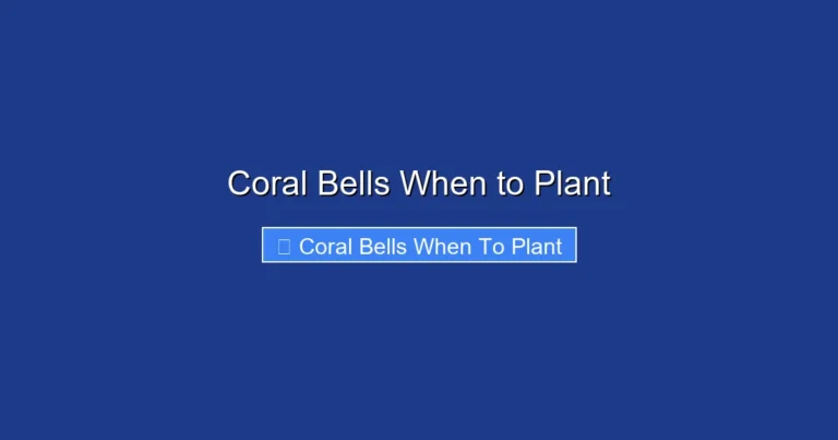 Coral Bells When to Plant