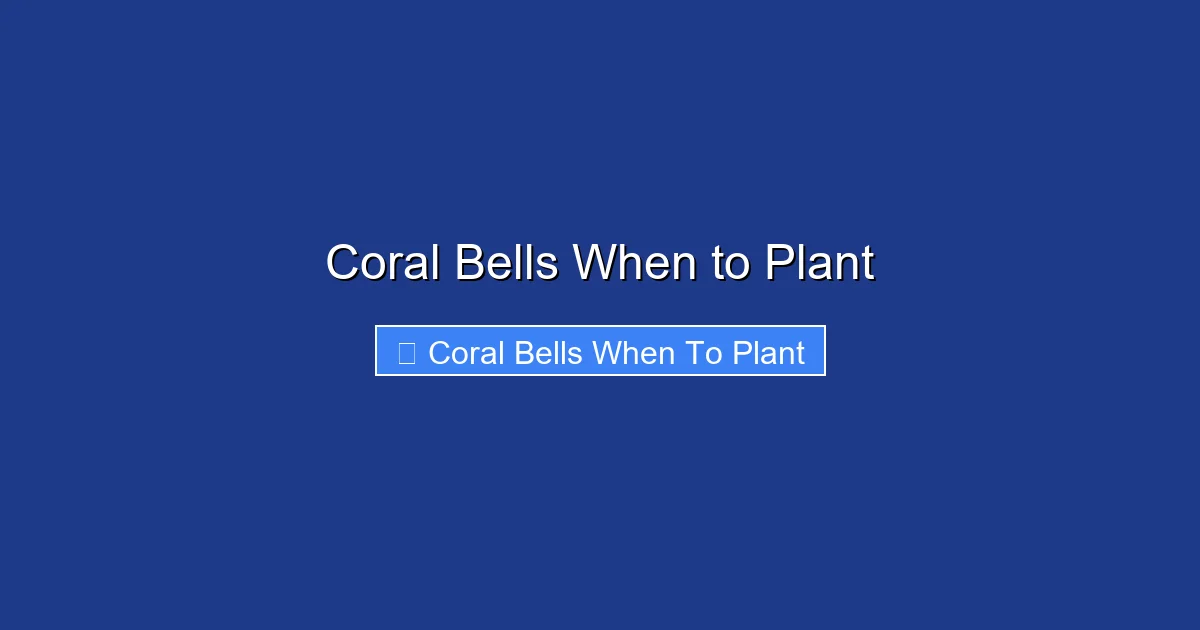 Coral Bells When to Plant