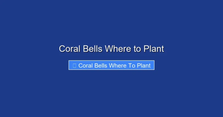 Coral Bells Where to Plant