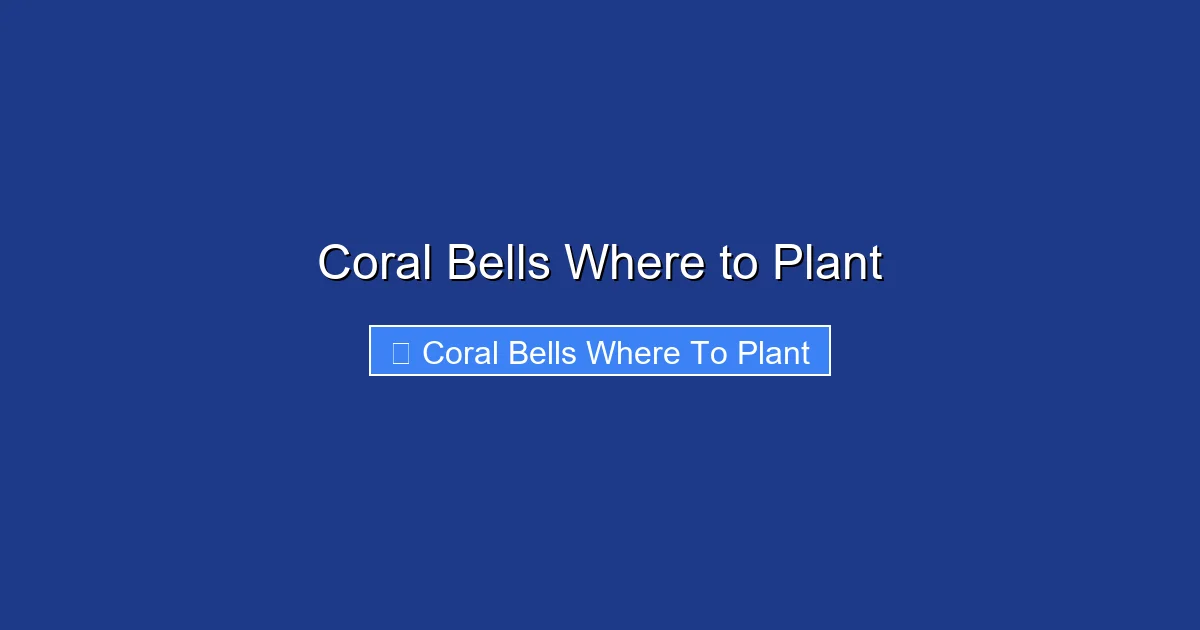 Coral Bells Where to Plant