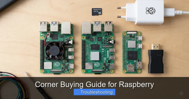 Corner Buying Guide for Raspberry