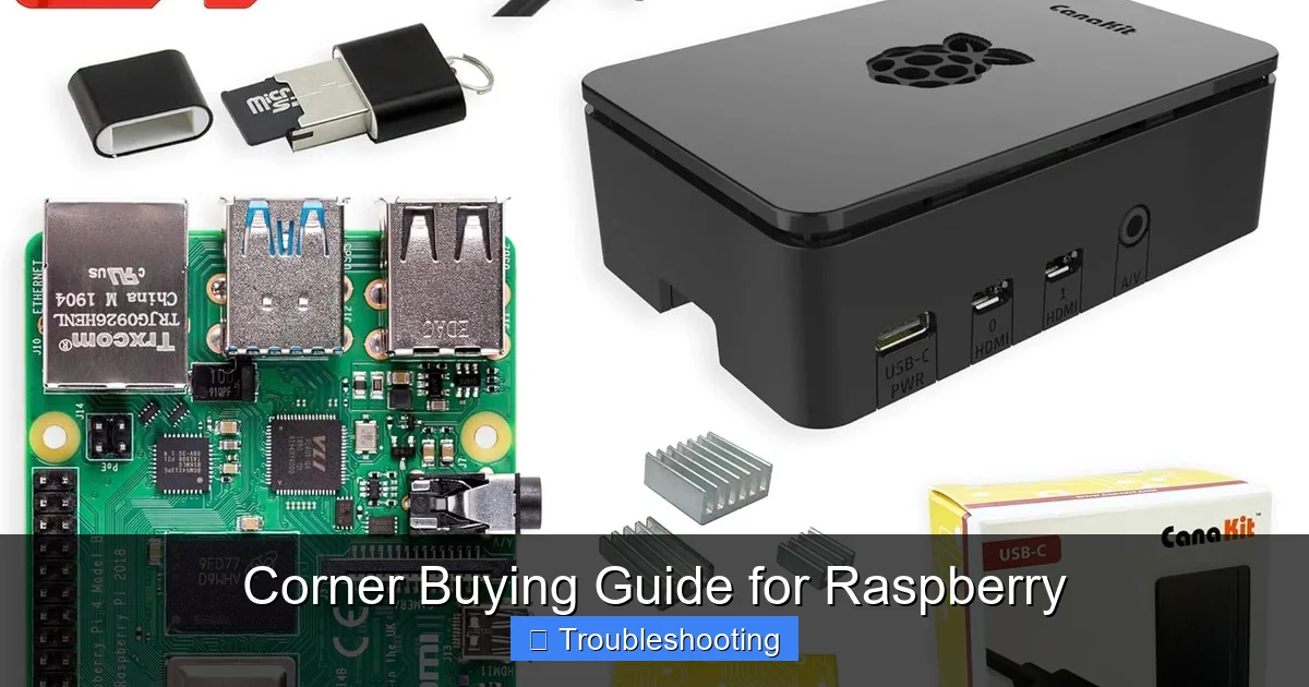 Corner Buying Guide for Raspberry