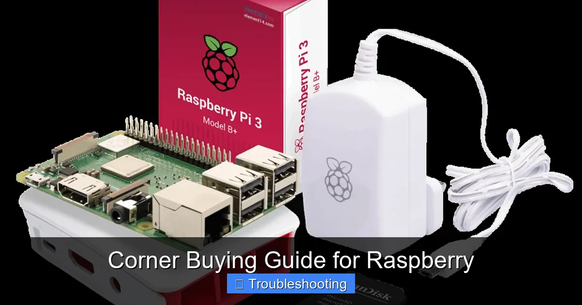 Corner Buying Guide for Raspberry