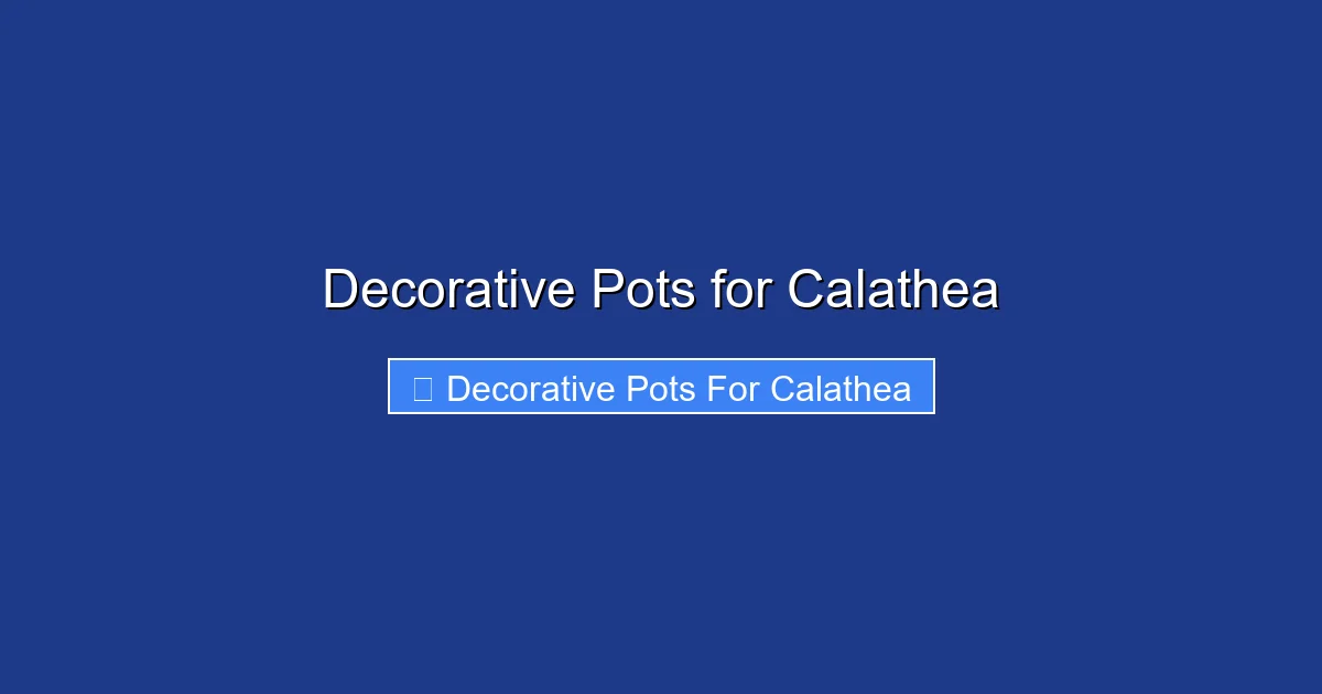 Decorative Pots for Calathea