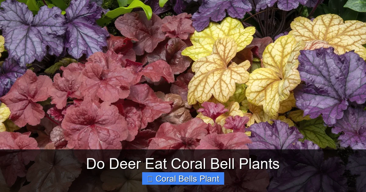 Do Deer Eat Coral Bell Plants
