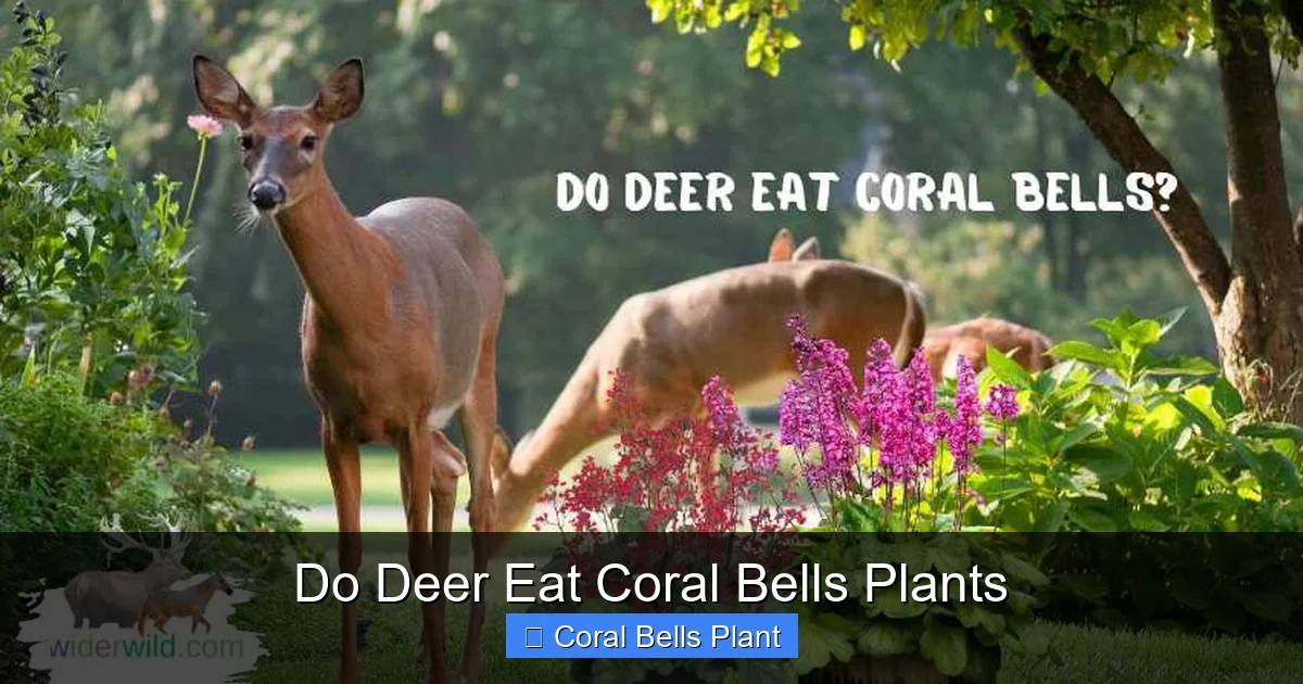 Do Deer Eat Coral Bells Plants