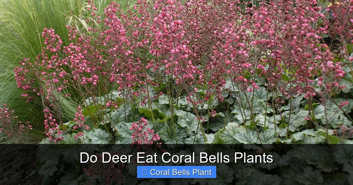 Do Deer Eat Coral Bells Plants