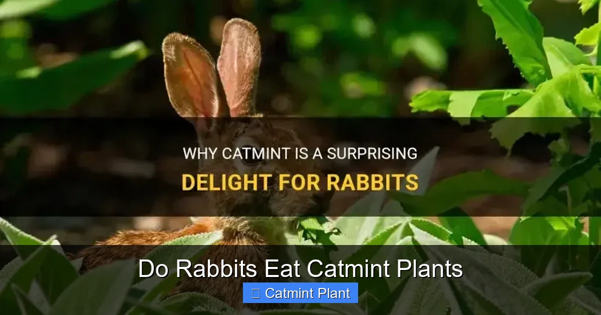 Do Rabbits Eat Catmint Plants