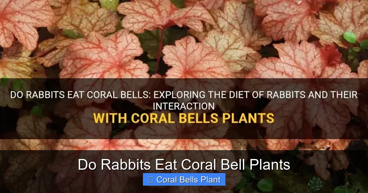Do Rabbits Eat Coral Bell Plants