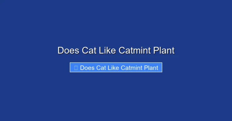 Does Cat Like Catmint Plant