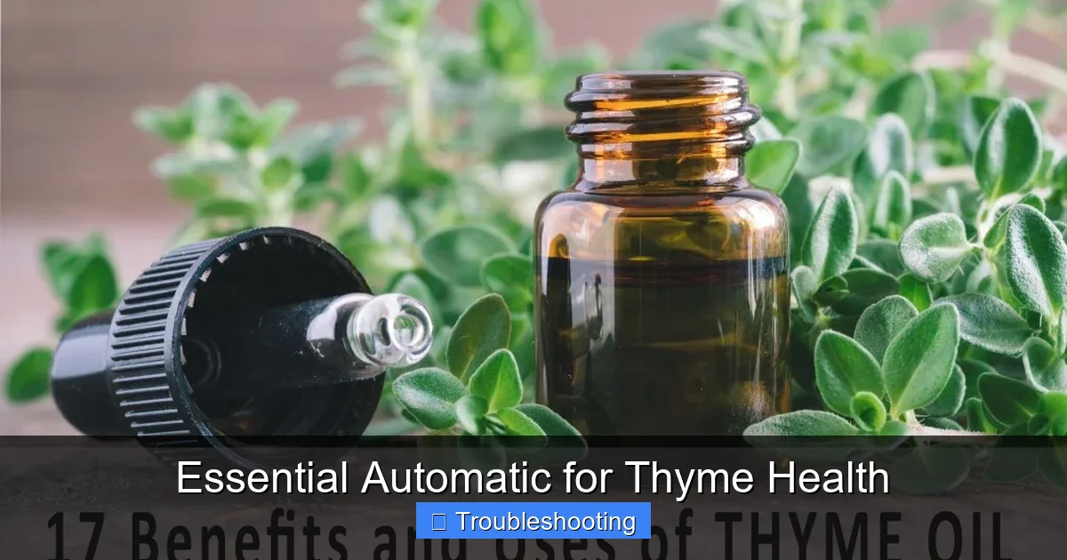 Essential Automatic for Thyme Health
