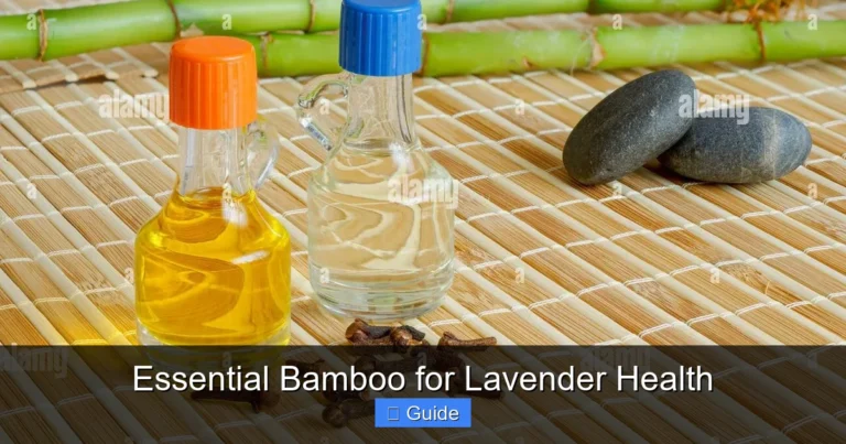 Essential Bamboo for Lavender Health