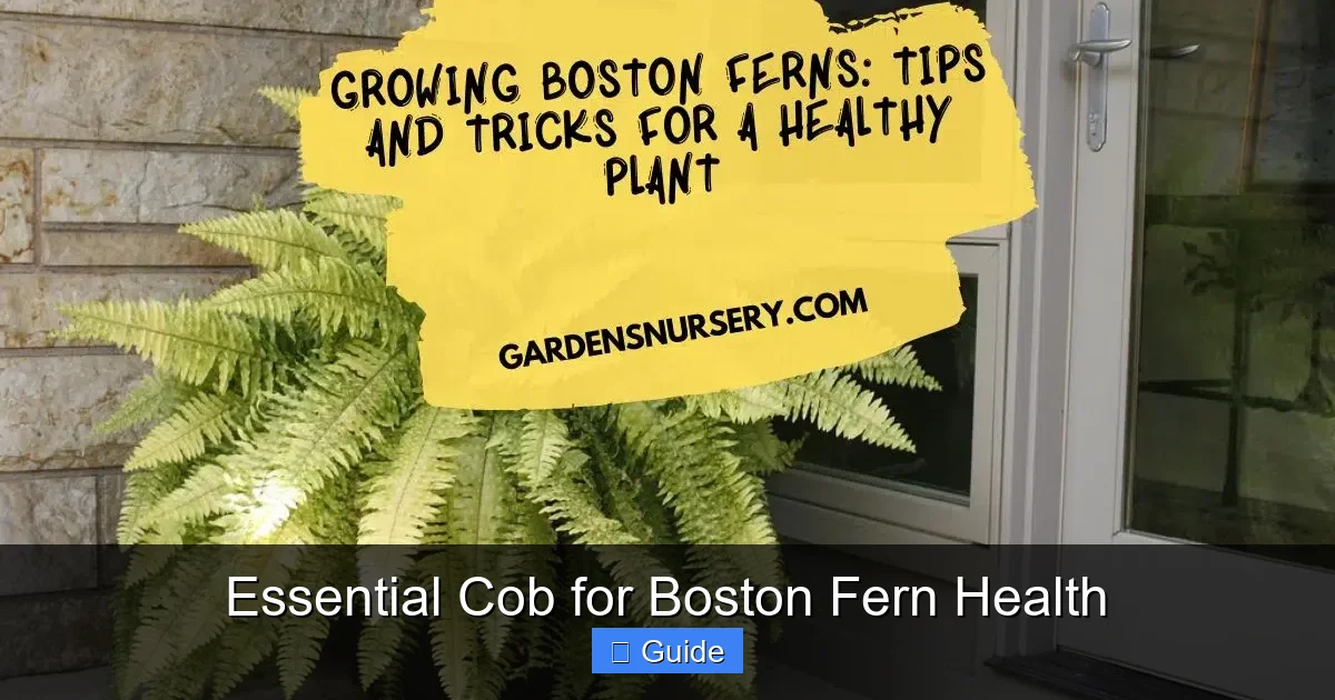 Essential Cob for Boston Fern Health