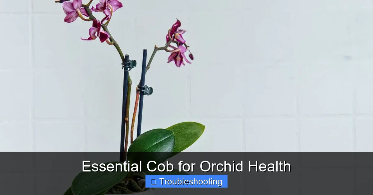 Essential Cob for Orchid Health