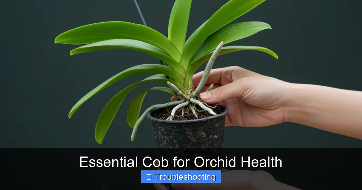Essential Cob for Orchid Health