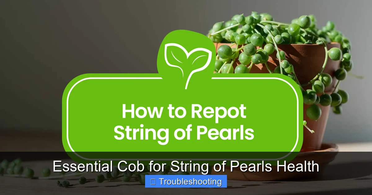 Essential Cob for String of Pearls Health