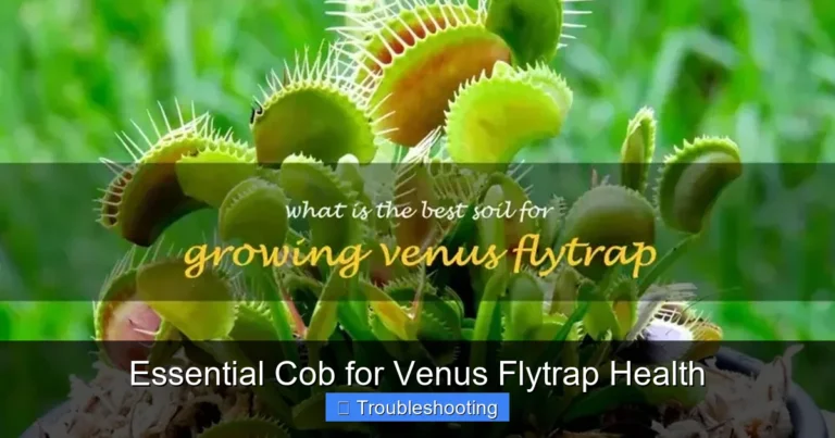 Essential Cob for Venus Flytrap Health