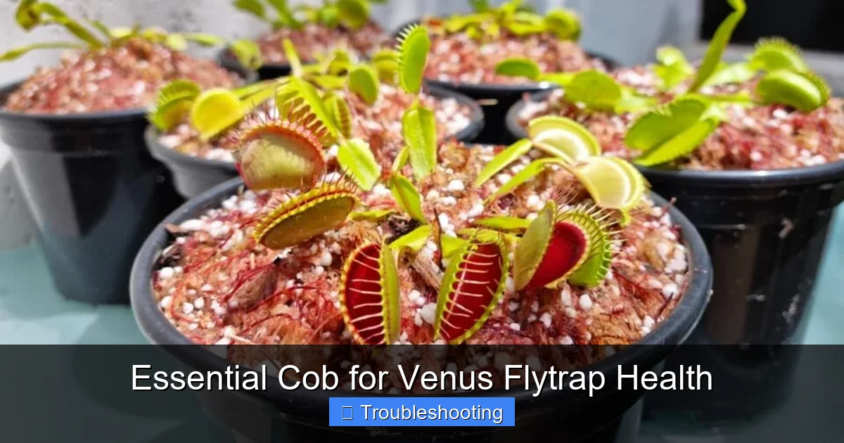 Essential Cob for Venus Flytrap Health