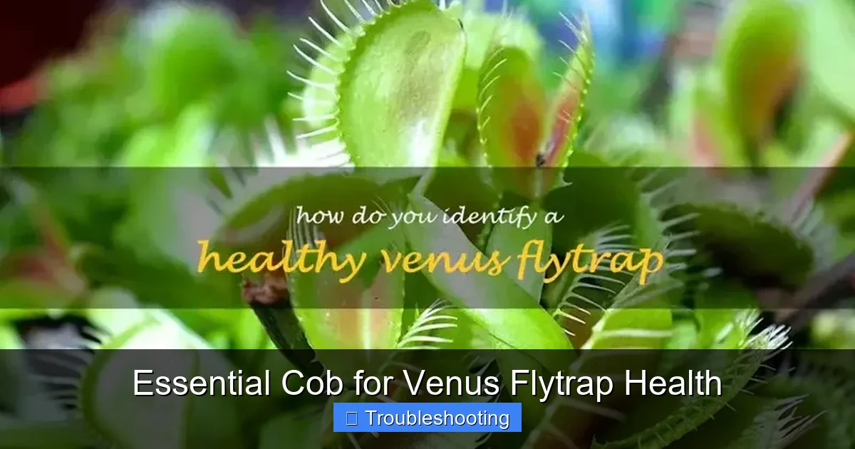 Essential Cob for Venus Flytrap Health