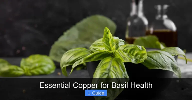 Essential Copper for Basil Health