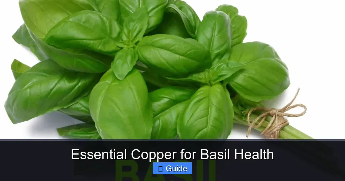 Essential Copper for Basil Health