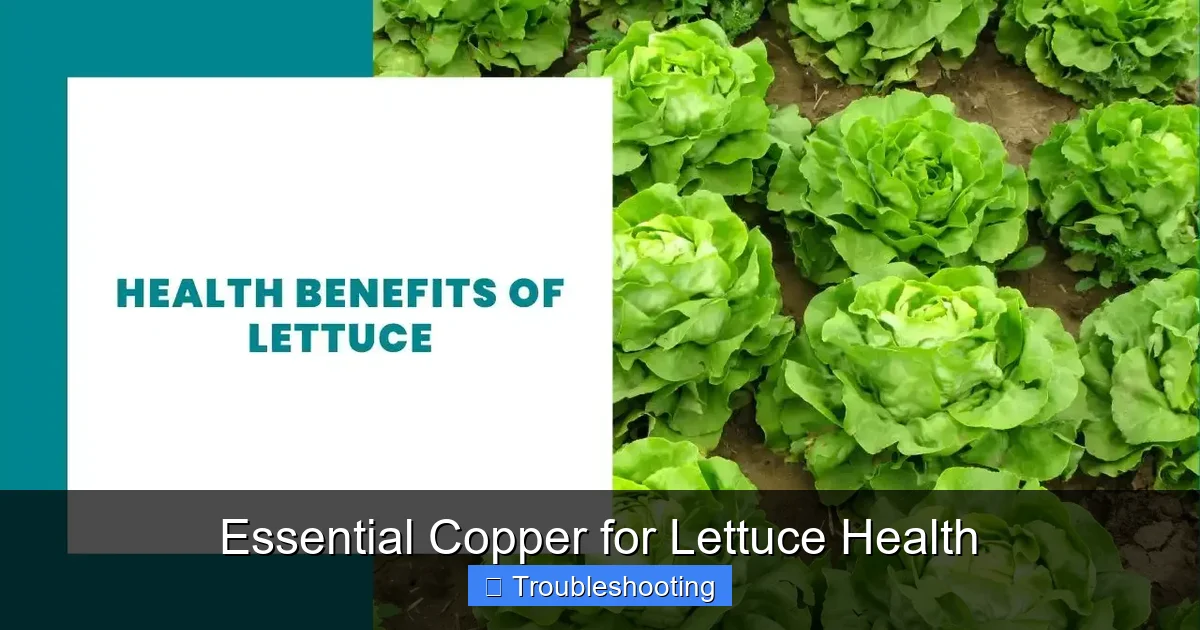Essential Copper for Lettuce Health