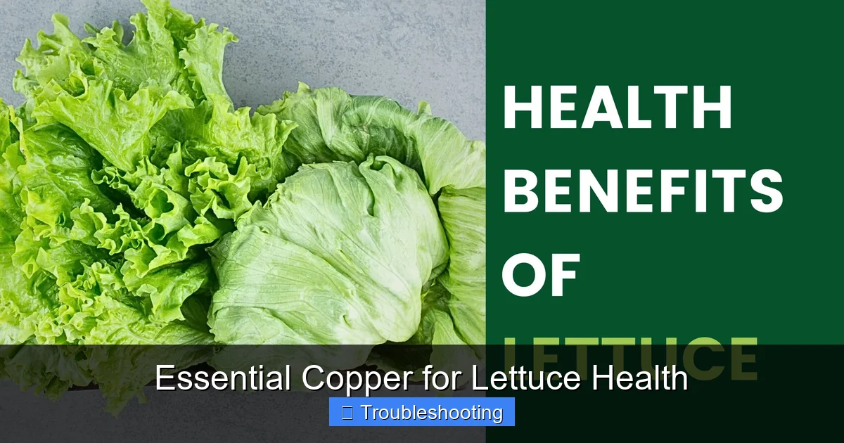 Essential Copper for Lettuce Health