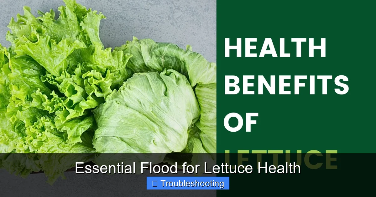 Essential Flood for Lettuce Health