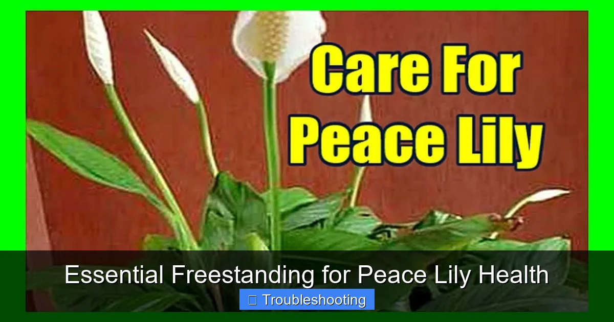 Essential Freestanding for Peace Lily Health