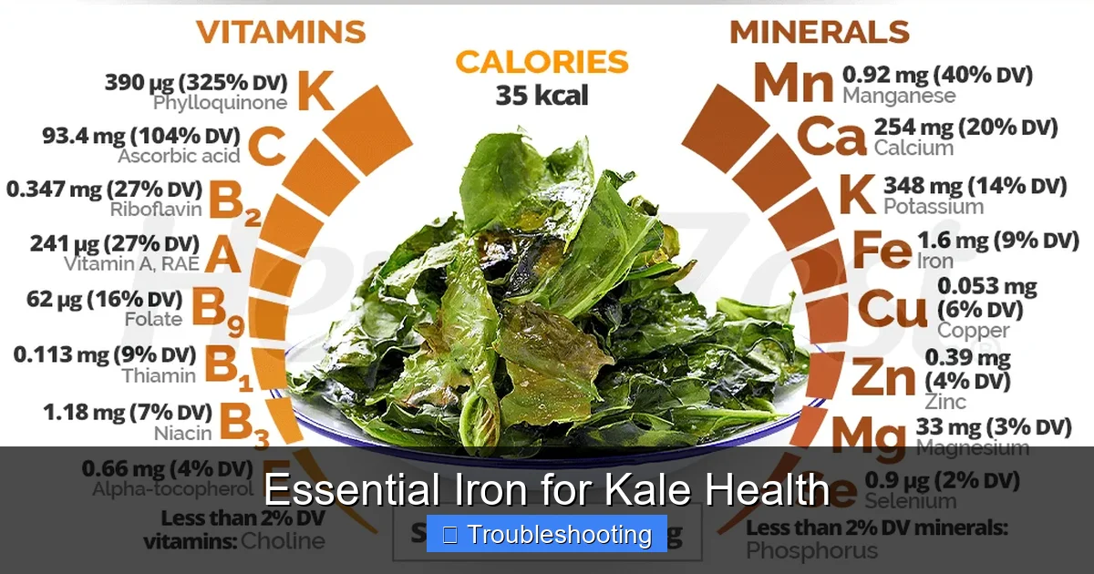 Essential Iron for Kale Health