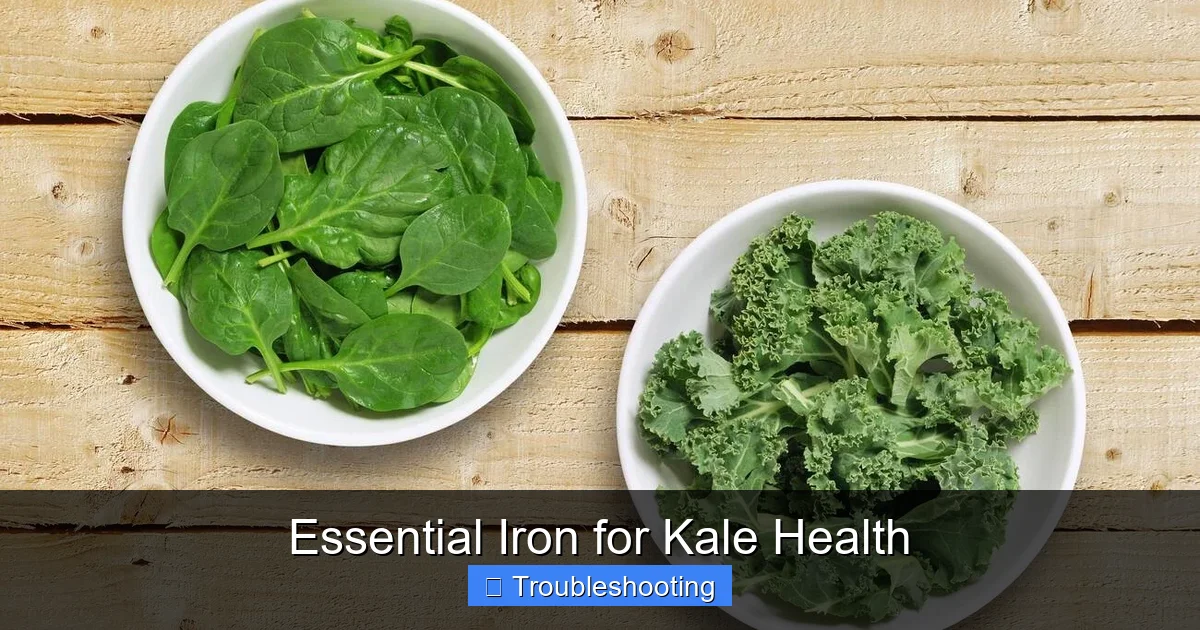 Essential Iron for Kale Health
