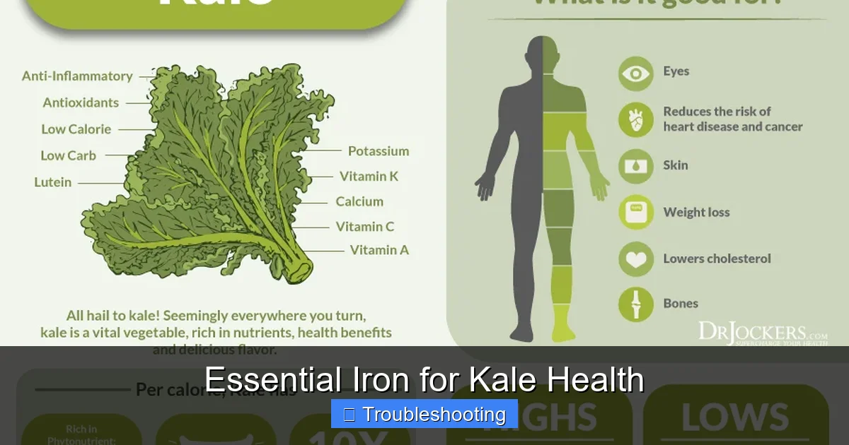 Essential Iron for Kale Health