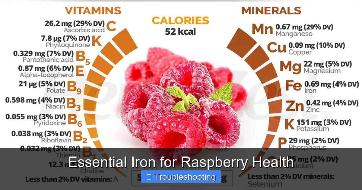 Essential Iron for Raspberry Health