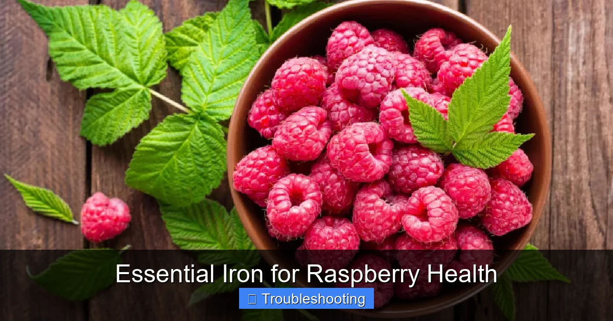 Essential Iron for Raspberry Health