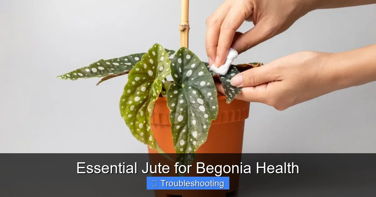 Essential Jute for Begonia Health