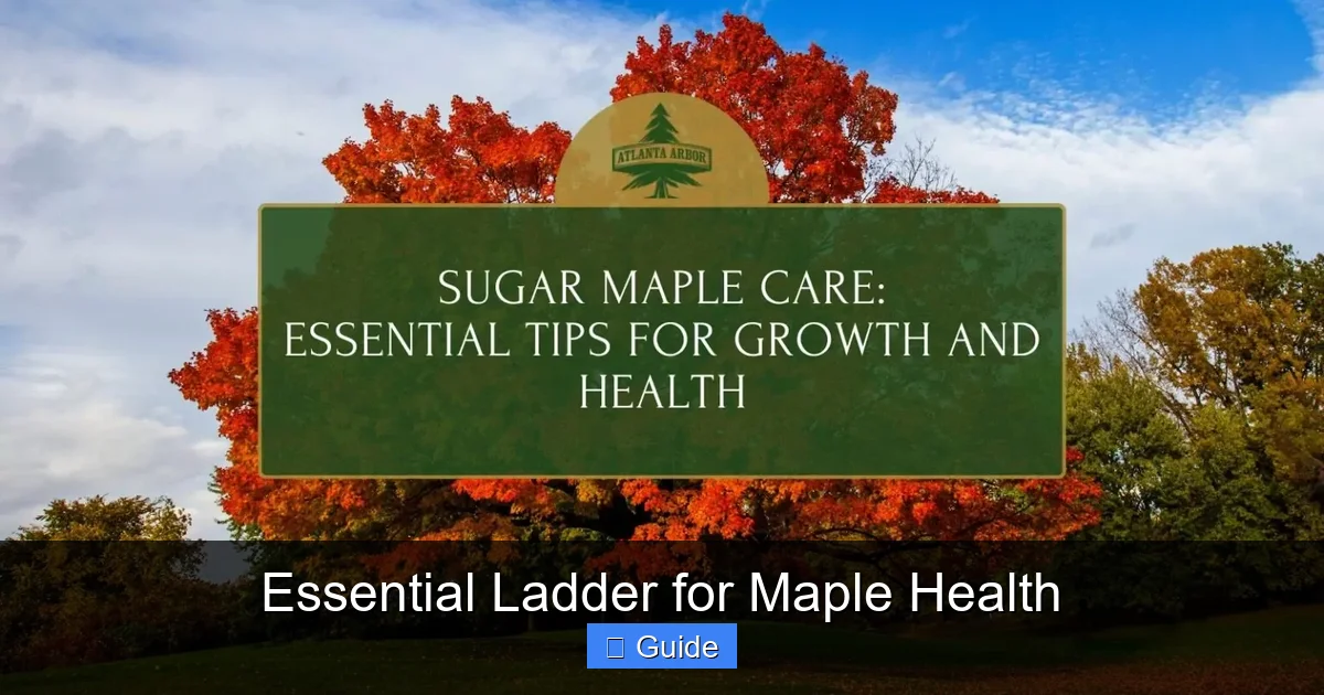 Essential Ladder for Maple Health