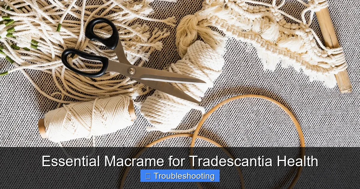 Essential Macrame for Tradescantia Health