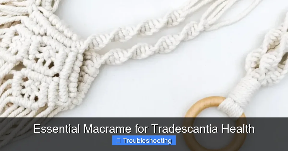 Essential Macrame for Tradescantia Health
