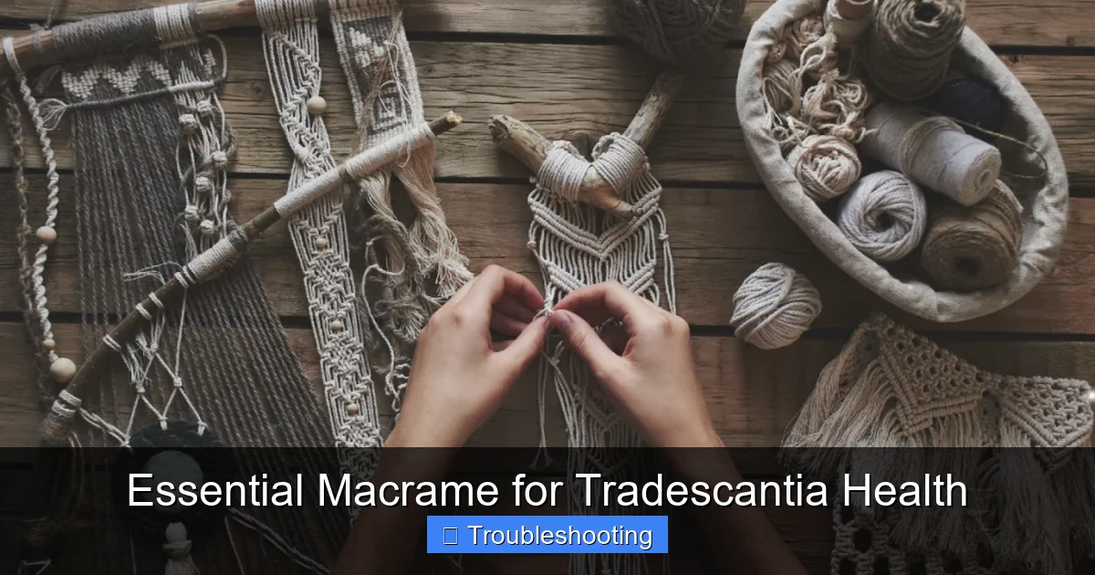 Essential Macrame for Tradescantia Health