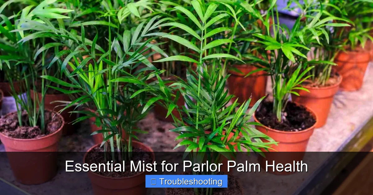 Essential Mist for Parlor Palm Health