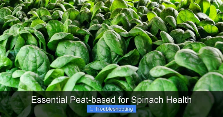 Essential Peat-based for Spinach Health