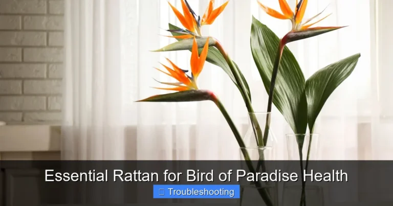 Essential Rattan for Bird of Paradise Health